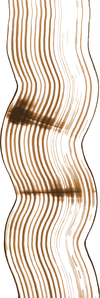 Eva Living - Apartamentos en Armenia